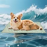 UIQELYS Pet Mat, Reversible Dog Bed Mat for Crate, Soft Warm Flannel for Winter, Washable Anti-Slip...