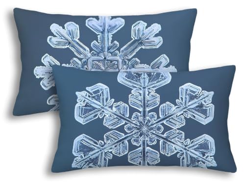 Housse de coussin extérieur imperméable 40x80 bleu rectonulaire déperlant pour balcon