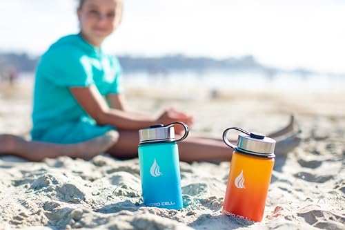 Image of HYDRO CELL Stainless Steel Insulated Water Bottle with Straw - For Cold & Hot Drinks - Metal Vacuum Flask with Screw Cap and Modern Leakproof Sport Thermos for Adults (Red /Orange 14oz)
