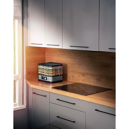 LEHMANN Dörrautomat Edelstahl 450W | Dörrgerät für Lebensmittel mit 5 Dörrebenen | Dehydrator mit Temperaturregler 35-70°C | Trockner für Obst, Pilze, Fleisch, Kräuter, BPA frei – Bild 5