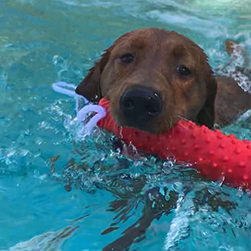 Bingpet Dog Float Bumper Toy - 10.2 Inch Large Training Dummy Retrieving Bumpers Summer Pool Toy Tug Game For Large Xl Dogs Retriever #TOP6