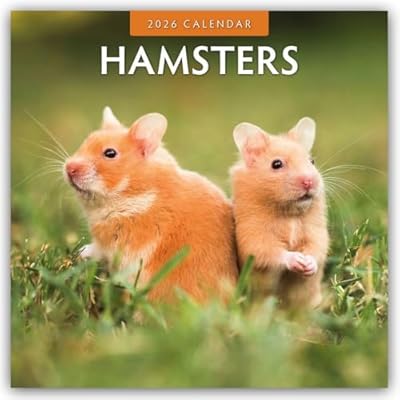 Hamsters 2026 Square Wall Calendar