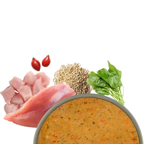 Bosch Freshe Schnauze, Pute mit Quinoa und Spinat 8 x 250 g, Schonend Dampfgegartes Nassfutter für Hunde, Vollwertiges Alleinfuttermittel mit hohem Fleischgehalt, 8 x 250 g Hundenassfutter