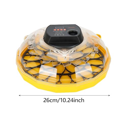 IEUDNS Chocadeira de ovos, chocadeira de aves, leve, ferramenta de chocagem, janela transparente, ch