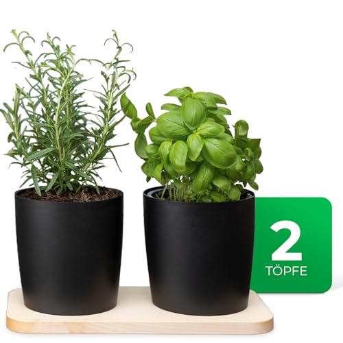 Novaliv-Stilvolle-Krauterstation-2er-Set-mit-Holzunterlage-und-2-Krautertopfe-fur-Jede-Fensterbank-Fur-frische-Kuchenkrauter-Krautergarten-fur-die-kuche-Krauterbeet-Indoor-Blumentopf-Ubertopf | Dealmeister.io Alt tag für bilder post titel