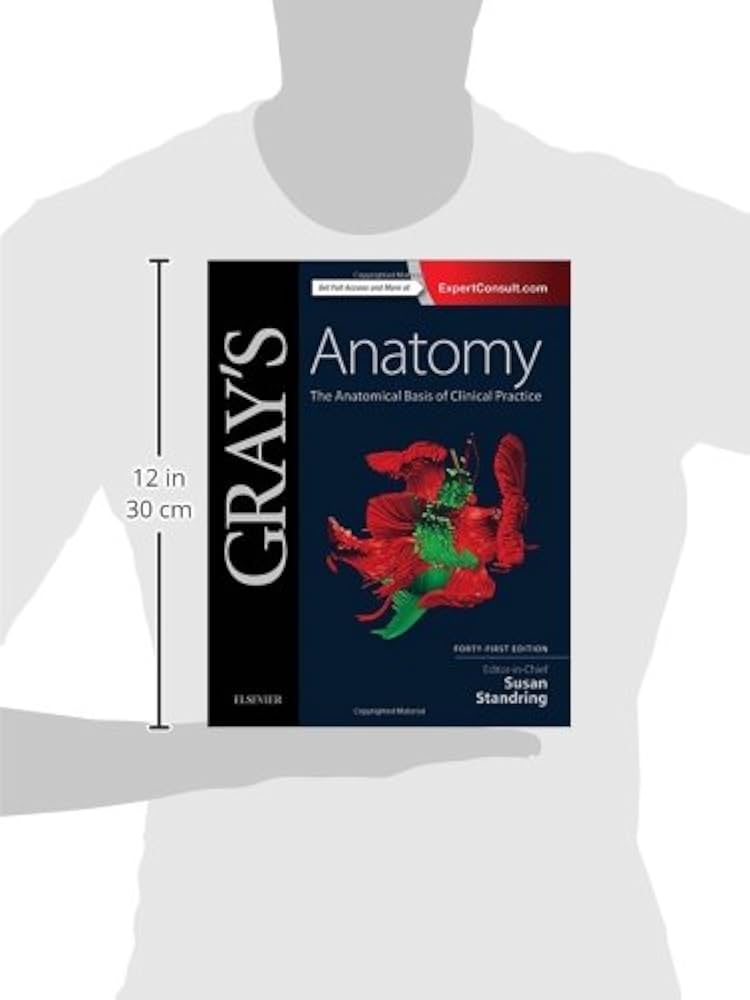 Amazon | Gray's Anatomy: The Anatomical Basis of Clinical