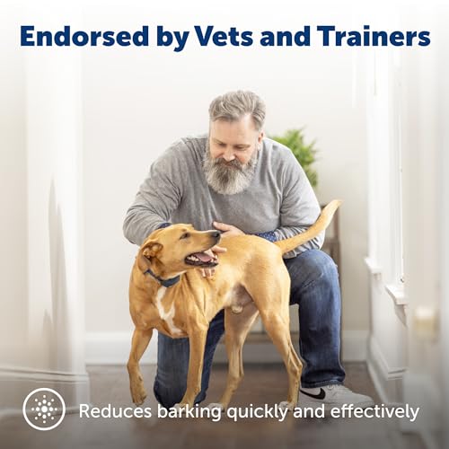 PetSafe Rechargeable Bark Collar, 15 Levels of Automatically Adjusting Static Correction - Rechargeable, Waterproof - Reduces Barking and Whining - for Small, Medium, and Large Dogs Over 8 lb by PetSafe - Image 3