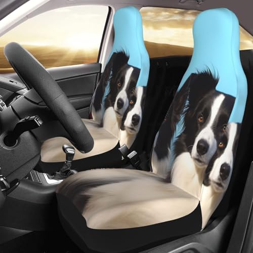 Housse de siège auto Border Collie pour le retour de balade et les sorties nature