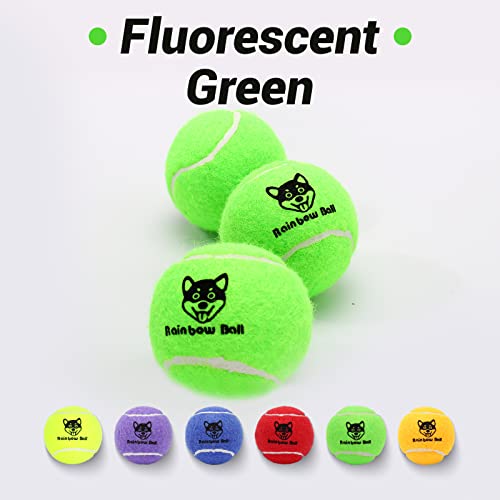 Squeaky Tennis Balls for Dog, Fetch Dog Toy Tennis Balls with Squeaker 12 Pack Colorful 2.5″ Dog Toys Balls for Small Medium Large Dogs Squeaky Tennis Balls for Dog, Fetch Dog Toy Tennis Balls with Squeaker 12 Pack Colorful 2.5″ Dog Toys Balls for Small Medium Large Dogs