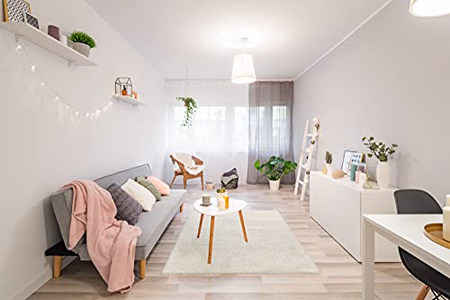 Gertmenian Air Shag Fresh Collection , Classic Plush Microfiber Shag Rug , Bedroom Nursery Living Room Dining Room Dorm Room , 5X7 Ft Standard, Solid, Ivory White, 18562 #TOP3