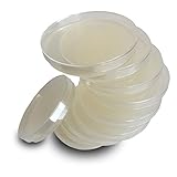 Nutrient Agar Plates by Evviva Sciences - Sterile Prepoured Nutrient Agar Petri Dishes - Superior Growth of Bacteria, Molds, Yeasts, and Other Fungi - Top Science Kit for Science Fair Projects