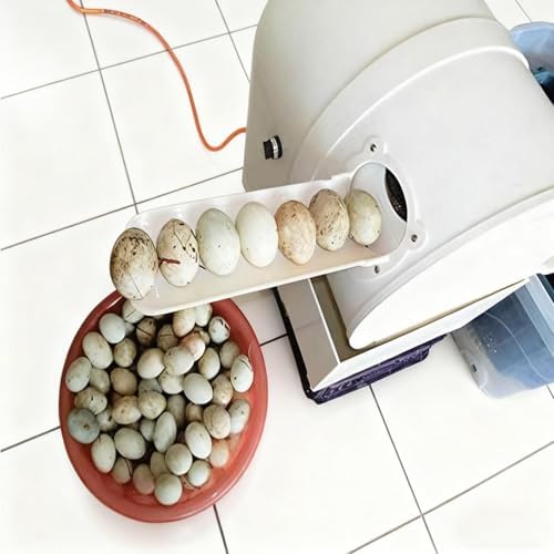150W Electric Egg Washer Machine, Automatic Egg Cleaning Machine, 2300 Pcs/H Chicken Duck Goose Egg Cleaner Wash Machine
