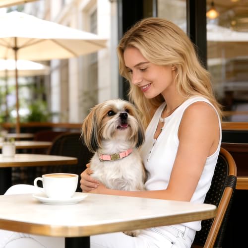 Image of Didog Soft PU Leather Dog Collar for Small Dogs, Quick Release, Pink S