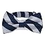 Navy Blue and Silver