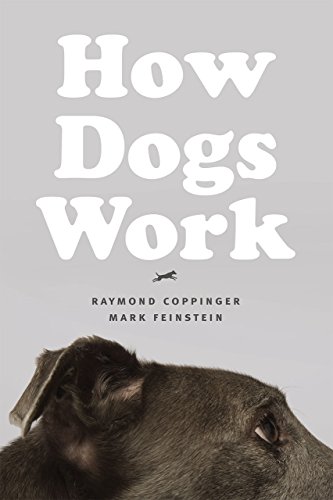 How Dogs Work view 2