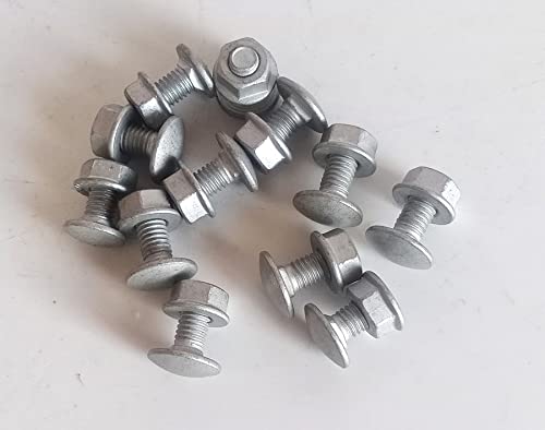 Mushroom Head Square Neck Bolt with Nut (6 x 10mm) (12pcs)-picture-26