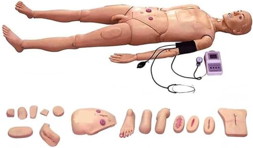 Nursing Manikin with Arm Blood, Medical Mannequin for Training Mannequin Full Body Training CPR Simulator Human Model Manikin for Students Education Medical