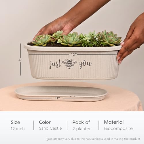 Image of Eha Earth-Friendly Printed Regalia Planters for Home Decor | 12 Inch, Pack of 2 with Growmix | Plant Gifts Made with Rice Husk Biocomposite | Flower Pot for Living Room| Sand Castle
