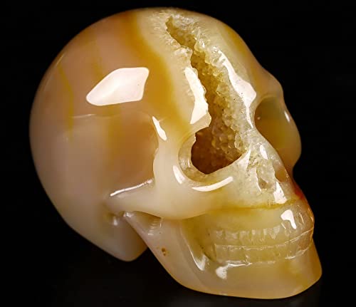 Calavera de Cristal Ágata Geoda 2.0 pulg