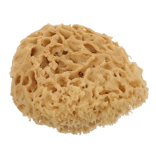 PLAFOPE oXV[X|W njJX|W V[X|W {fBEHbVXNo[ |[^uoX{[ V[pi ƗpoX{[