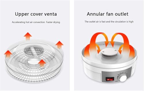 Image of 5-Tray Electric Food Dehydrator Machine with Adjustable Thermostat (35-70C) - Stackable Food Dryer for Fruits, Vegetables, Herbs, Meat and Beef - For Healthy Home Kitchen Use