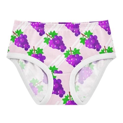 Joisal Toddler Girls Underwear 2t Cotton Panties for Girl Aesthetic Briefs Kids Undies Cartoon Purple Grapes Pink
