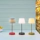 REMEMBER Oscar Pure, dimmbare LED Tischleuchte mit Akku, Indoor & Outdoor, Höhe 33,5 cm, USB Lampe mit Touch-Dimmer, 80h Leuchtdauer - LT01