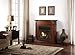 Duluth Forge Vent Free, 32,000 BTU, Remote Control, Autumn Spice Finish Dual Fuel Fireplace