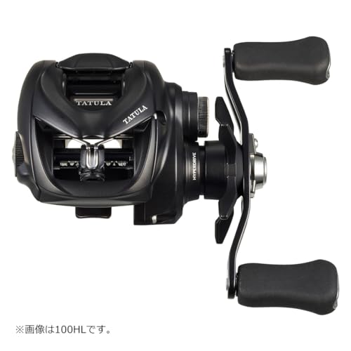 ダイワ 24タトゥーラTW 100