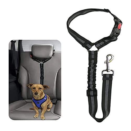 Cintura Di Sicurezza Per Cani In Auto - Acciaio Inox 304, 80cm, Resistente Fino A 100kg, Argento