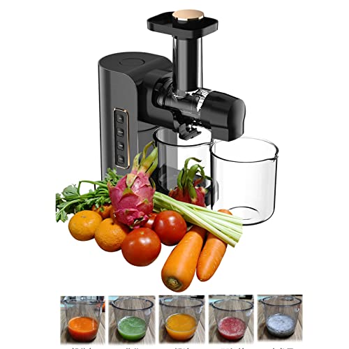 Máquinas de espremedor lento 220V/110V, extrator de suco de escória doméstica, espremedor de separaç