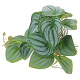 TOGEVAL テラリウムプラント装飾 爬虫類ケージ用フェイク植物 隠れ家デコレーション 観葉風人工植物 飼育箱置くだけ簡単設置