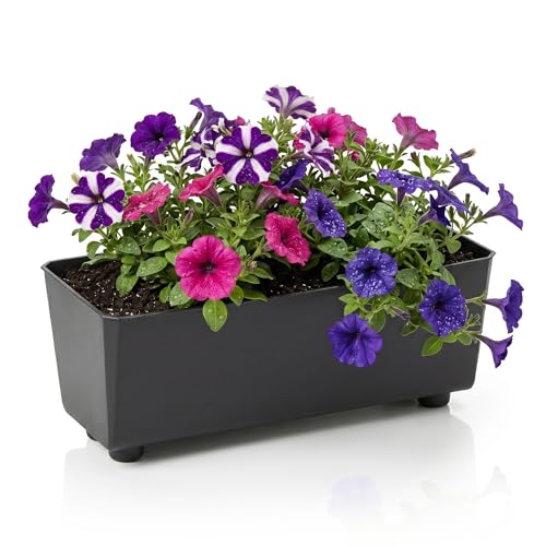 Lamela Rechteckiger Pflanzkasten mit eleganten Füßen Schwarzer Blumenkübel aus robustem Kunststoff 37x17 cm 6L Wetterfest & Pflegeleicht - für Innen & Außen Schwarz