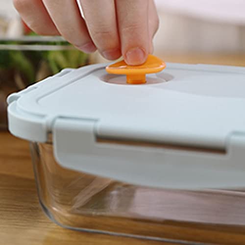 Contenitore in Vetro per conservare Le Verdure fresche per la Famiglia, con Coperchio sigillabile, può Essere utilizzato Come
