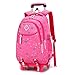 LIUXIUER Rollrucksack Mit 2 Rädern, Wasserdichter Multifunktions-Rucksack Mit Rädern Und Abnehmbarer Wagenstange,B