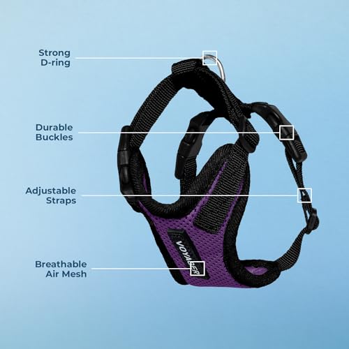 Image of Voyager Step-in Pet Harness - All Weather Mesh, Adjustable Step in Harness for Cats and Dogs by Best Pet Supplies - Purple /Black Trim, M