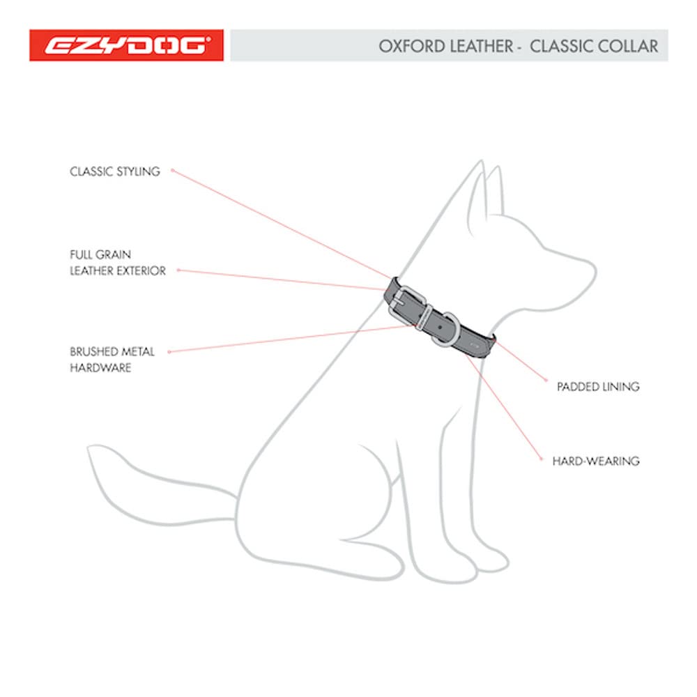 EzyDog Oxford Collier en cuir de qualité supérieure pour chiens de petite et grande taille en cuir naturel, réglable et rembourré (M, noir)