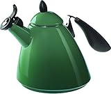 Le Creuset Enameled Steel 1-8/9-Quart Ogive Tea Kettle, Fennel