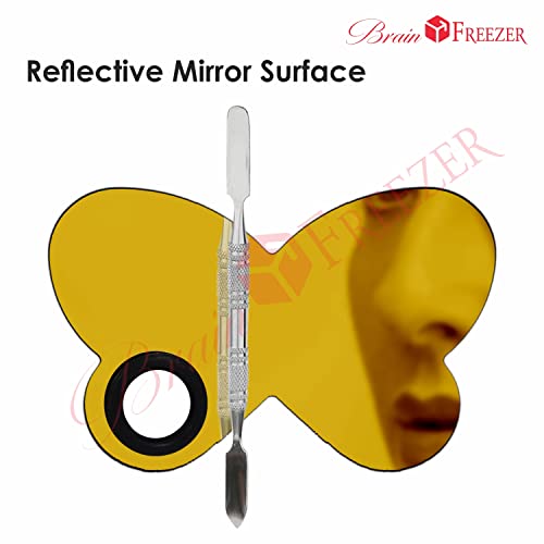 Image of Brain Freezer Shiny Makeup Palette With Stainless Steel Butterfly Shape Spatula, Golden 100 g