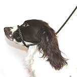 Dog & Field Figure 8 Anti-Pull Lead/Halter/Head Collar/Harness (Olive Green)