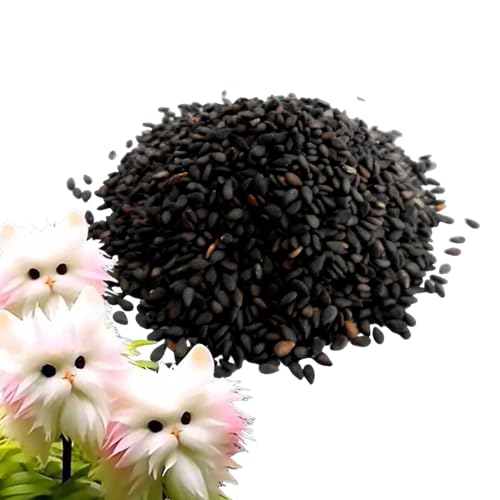 Semilla Orquídea Cara Gato, Semillas Flores Cara Gato 100 Piezas, Novedosa Fuertes Fragancia Semillas Orquídeas, Plantas Macetas Orquídeas Lindas, Para Salas Estudio Dormitorios Hogar
