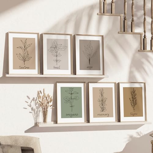 Image of kotart Kitchen Herbs Digital Painting for Restaurant Kitchen Wall Decoration - Minimal Cooking Herbs Wall Art Prints for Living Room Bedroom Office Room Decor (13X17 INCH, F) Pack of 6