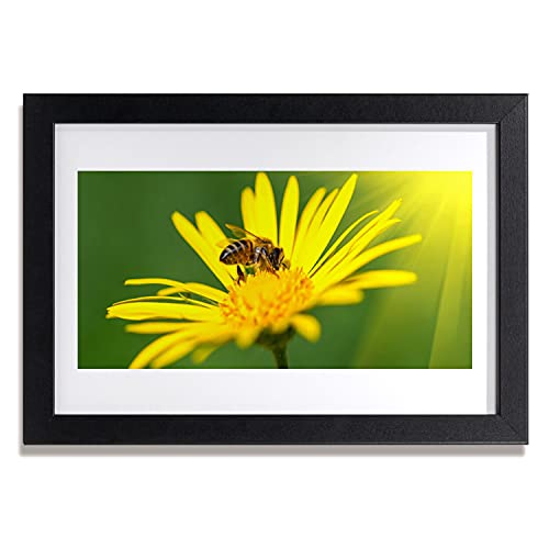 Image photo salon fleur d'abeille Tulup | Cadre mural 30x20 cm pour vos espaces