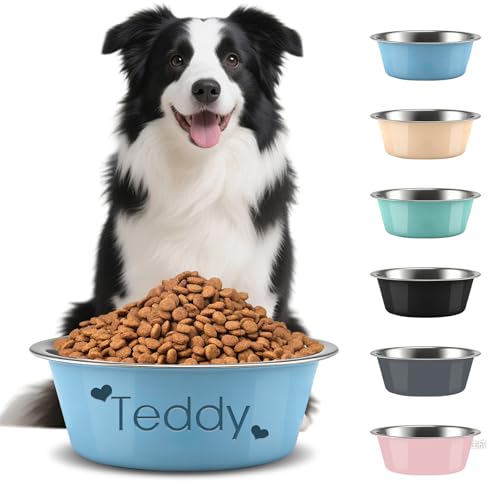 Ciotola Per Cani Personalizzata Acciaio Inox, Ciotola Metallo Incisa Con Nome Antiscivolo Cani E Gatti, Ciotola Acqua Piccola Media Grande Taglia, Regalo Personalizzato Per Animali (Blu)