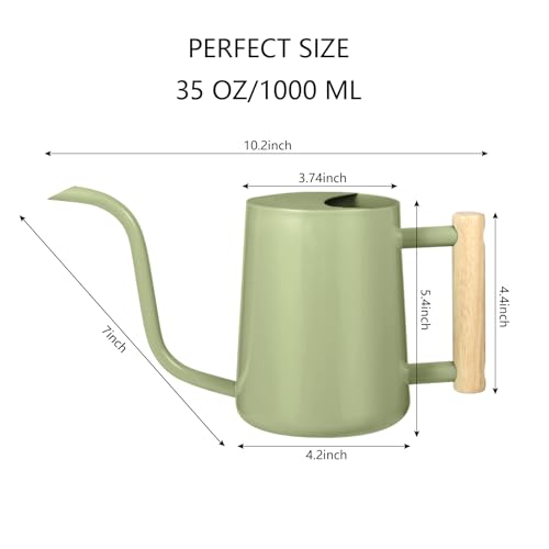 Image of Watering Can Indoor Plants, 35oz Small Indoor Stainless Steel Metal Watering Can Modern Decorative Watering Pot with Long Spout for Indoor House Plant Bonsai Garden Flowers (Sage Green)