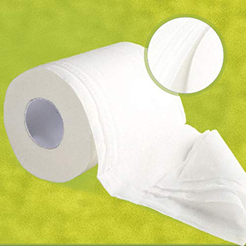 Blair 10 Rolls Toilet Paper 3-ply Bath Tissue Bathroom White Soft for Home Hotel Public