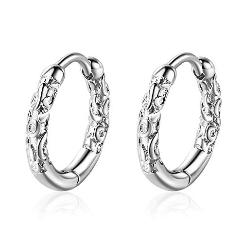 Boucles d'oreilles en argent pour femmes, le meilleur cadeau d'anniversaire