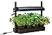 Produktbild Seedeo® Anzucht-Station Light Garden + 2 Samenproben (Garland)