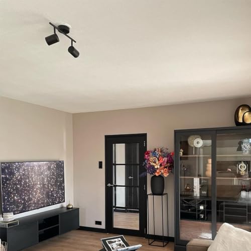 SANBDDLYY Plafón moderno negro inclinable - JEANA 2 Acero Alargada Adecuado for LED Max. 2 x 35 Watt