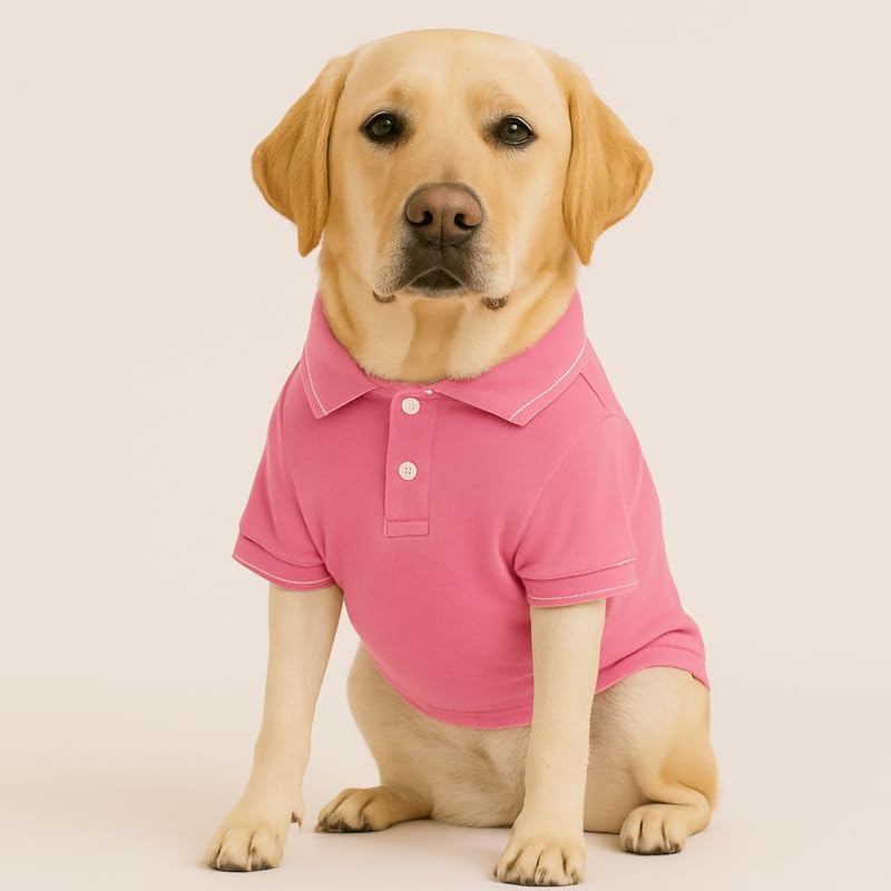 Image of Thunder Tails Premium Cotton Polo Dog T-Shirt | for Medium Dogs | Pink | 2XL | for Cocker Spaniel, Hound, Beagle & Corgi